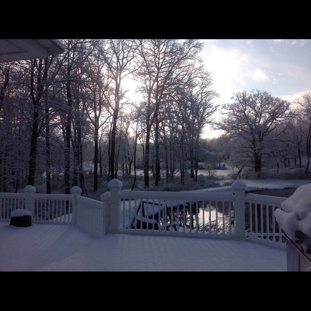 Meet your Posher, Joanne